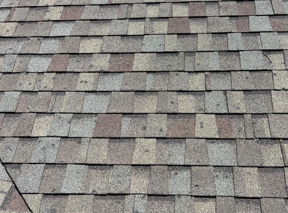 Asphalt shingle roof showing visible signs of age and wear